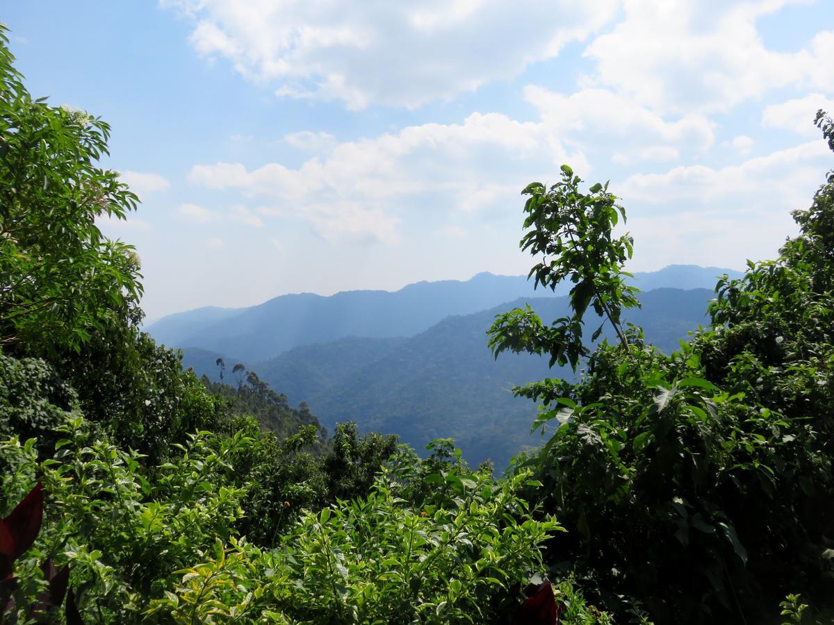 Nkuringo Bwindi Gorilla Lodge Esterno foto