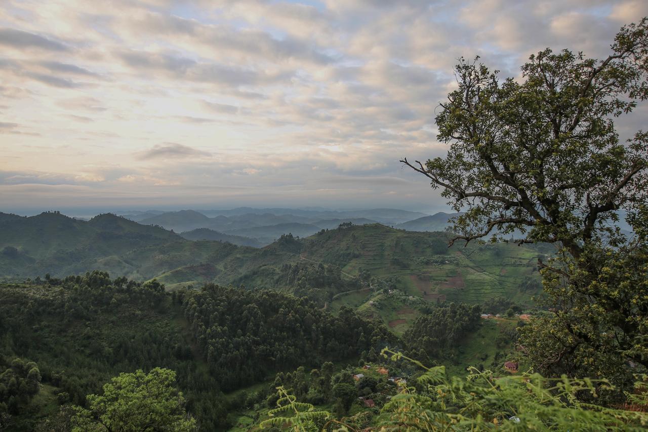 Nkuringo Bwindi Gorilla Lodge Esterno foto
