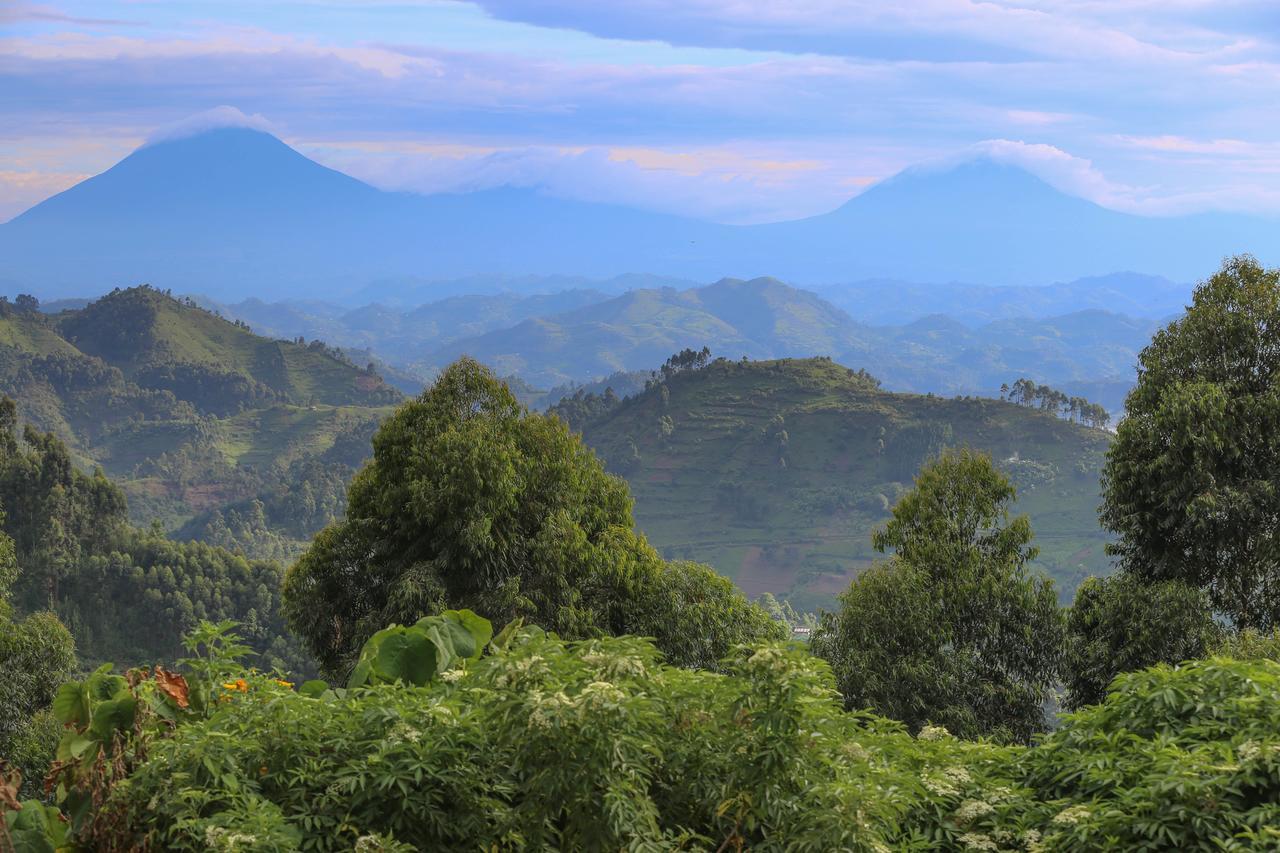Nkuringo Bwindi Gorilla Lodge Esterno foto